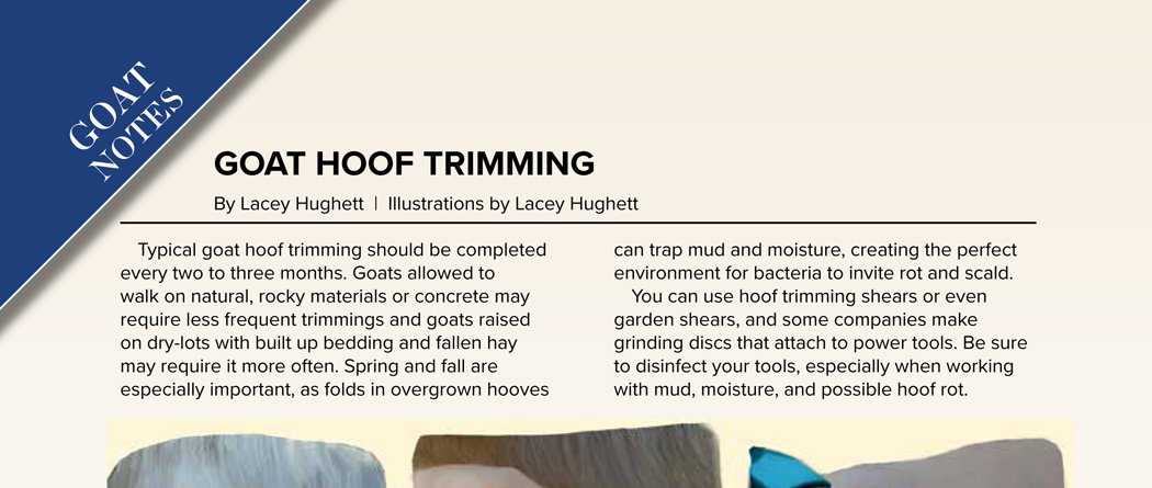 Goat Hoof Trimming - Goat Journal